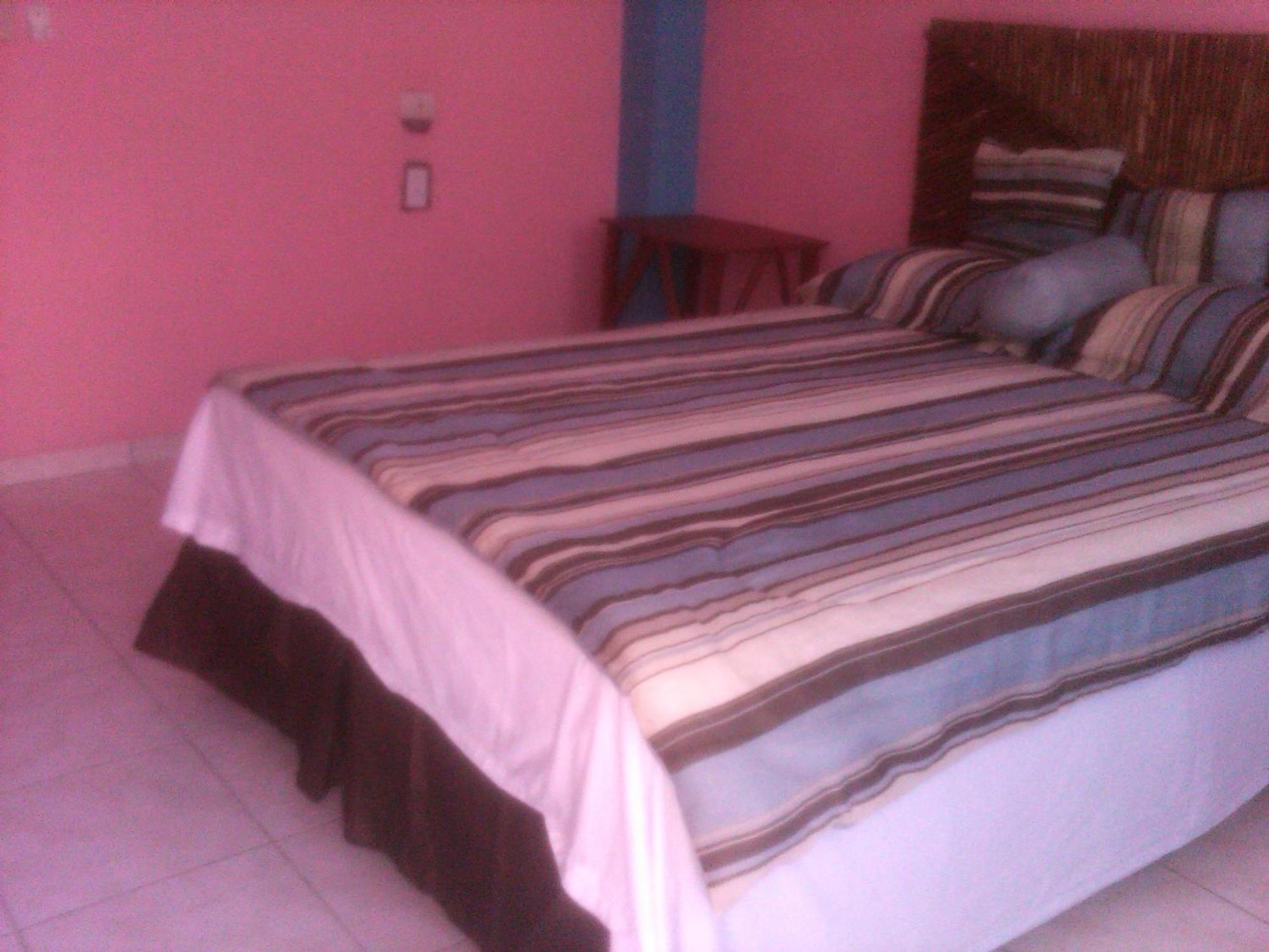 La Delphina Bed And Breakfast Bar And Grill La Ceiba Buitenkant foto