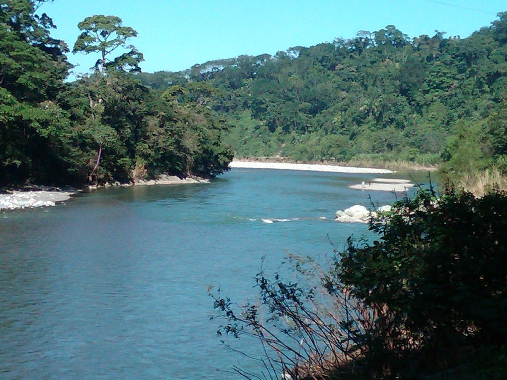 La Delphina Bed And Breakfast Bar And Grill La Ceiba Buitenkant foto