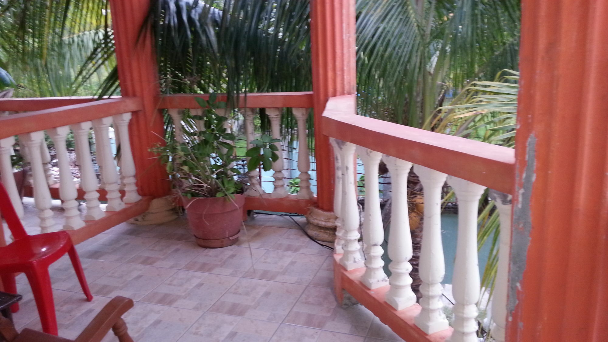 La Delphina Bed And Breakfast Bar And Grill La Ceiba Buitenkant foto